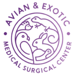 Avian & Exotic Logo