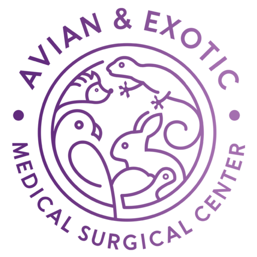Cropped Avian Exotic Logo.png