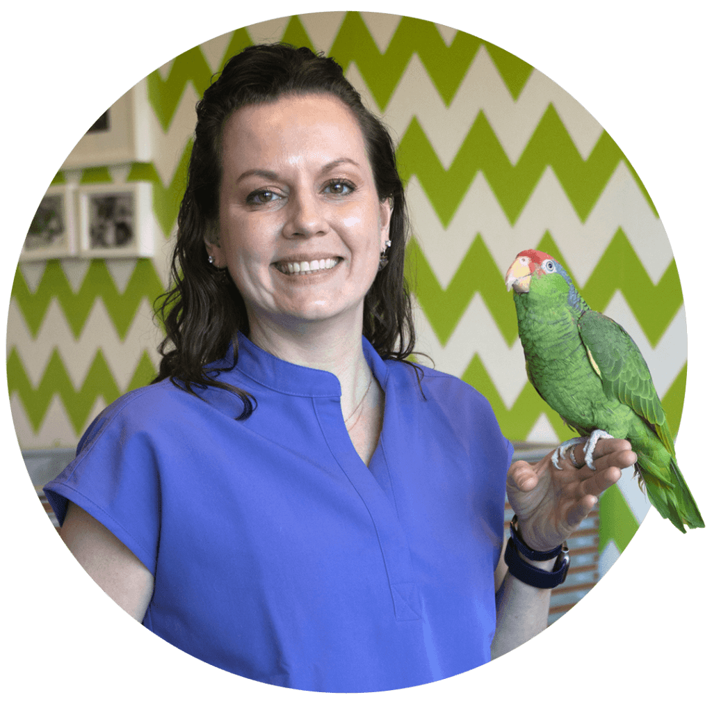 Our Team Avian & Exotic Philly Medical Surgical Clinic