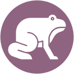 Amphibian Icon With Circle Background