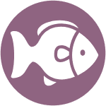 Fish Icon