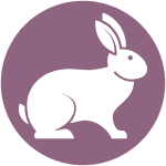 Rabbit Icon