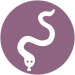 Snake Icon