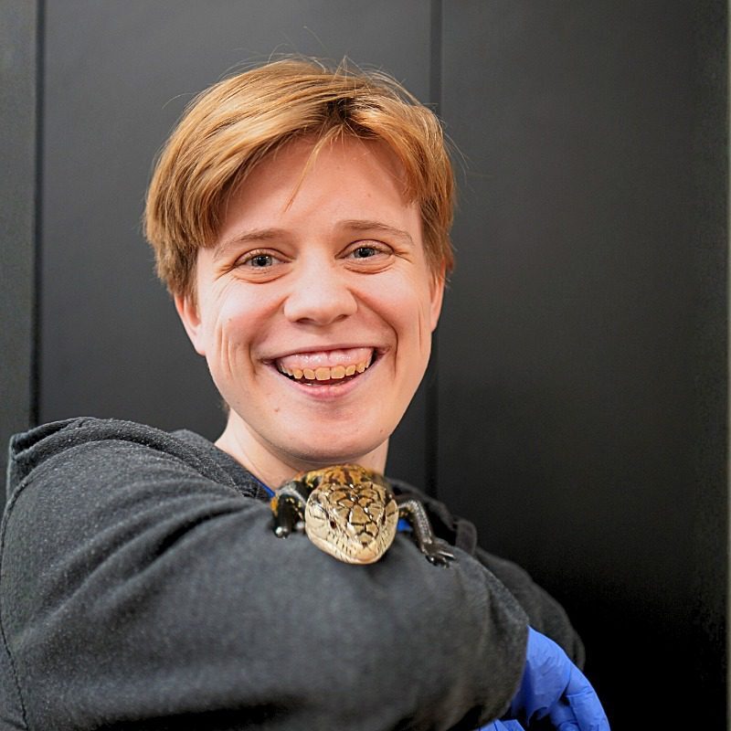 Luca - veterinary assistant holding a reptile